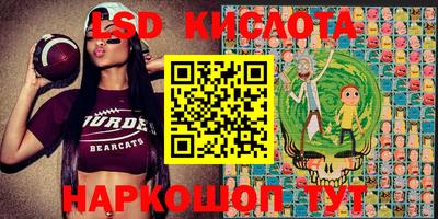 прущие крисы Абинск